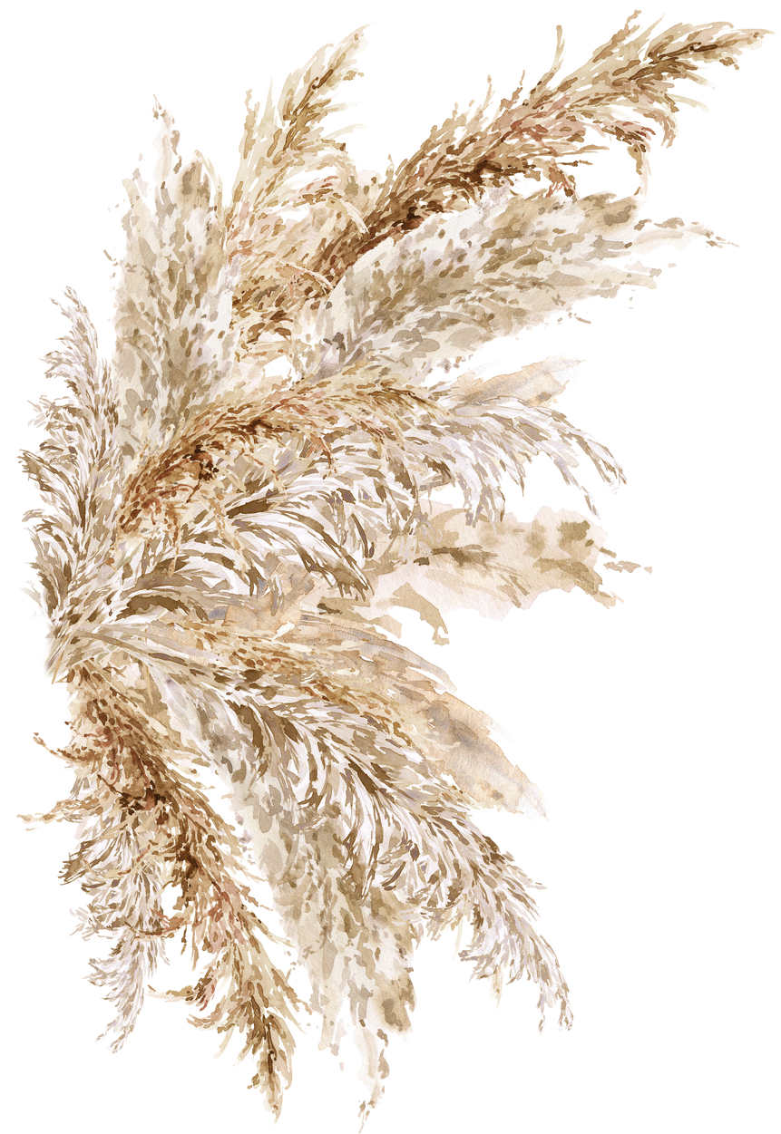 Watercolor Pampas Grass floral  neutral beige bouquet